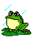 Wetterfrosch!